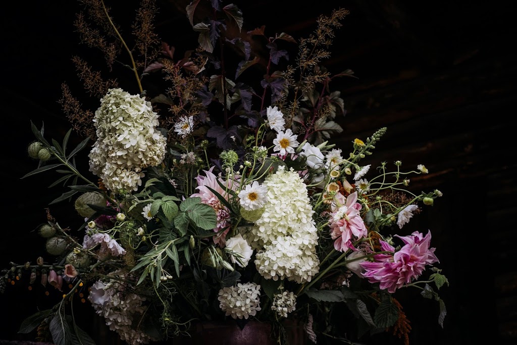 Ardelia Farm & Co. | 3118 W Glover Rd, Irasburg, VT 05845, USA | Phone: (802) 323-4178