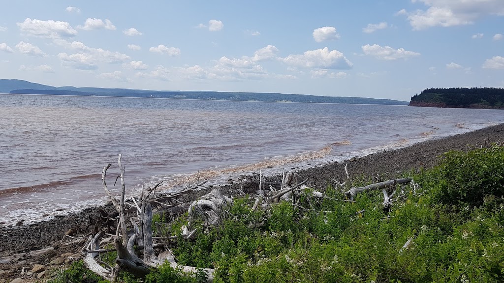 Johnsons Mills Shorebird Interpretive Centre | Johnsons 3K8, Dorchester Cape Rd, Johnsons Mills, NB E4K 3N7, Canada | Phone: (506) 379-6347