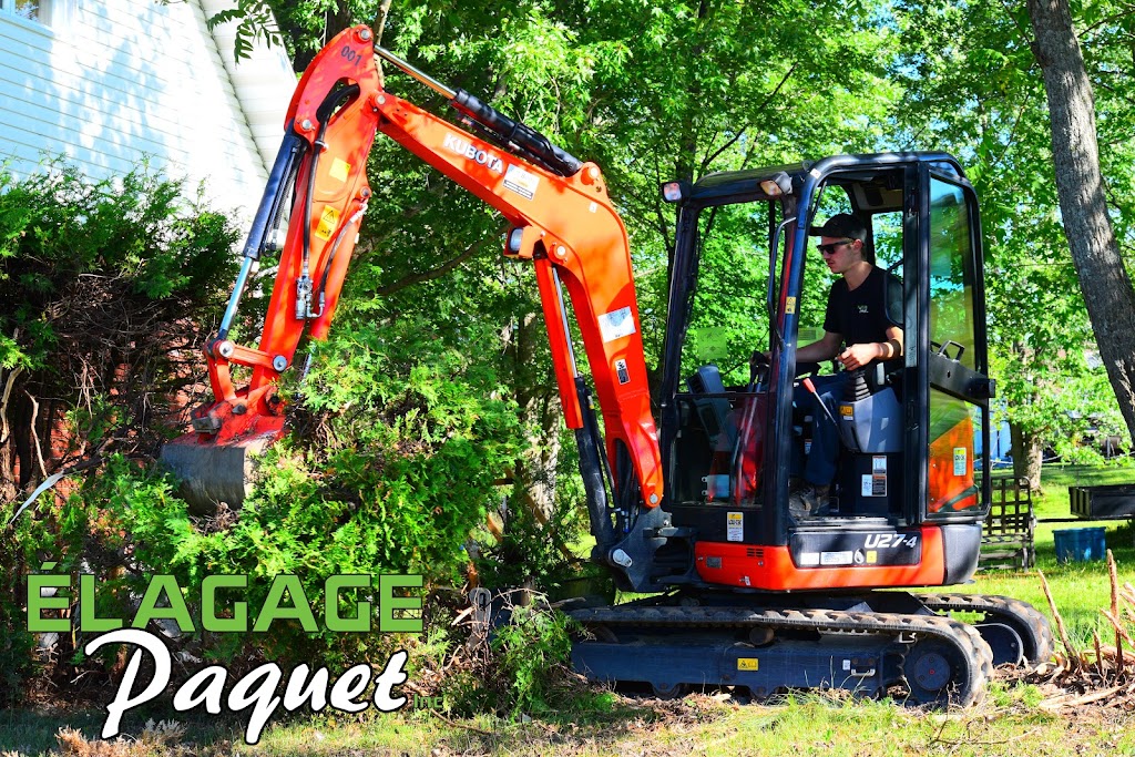 Élagage Paquet Inc. | 1546 22e Rue, Saint-Côme-Linière, QC G0M 1J0, Canada | Phone: (438) 829-2644