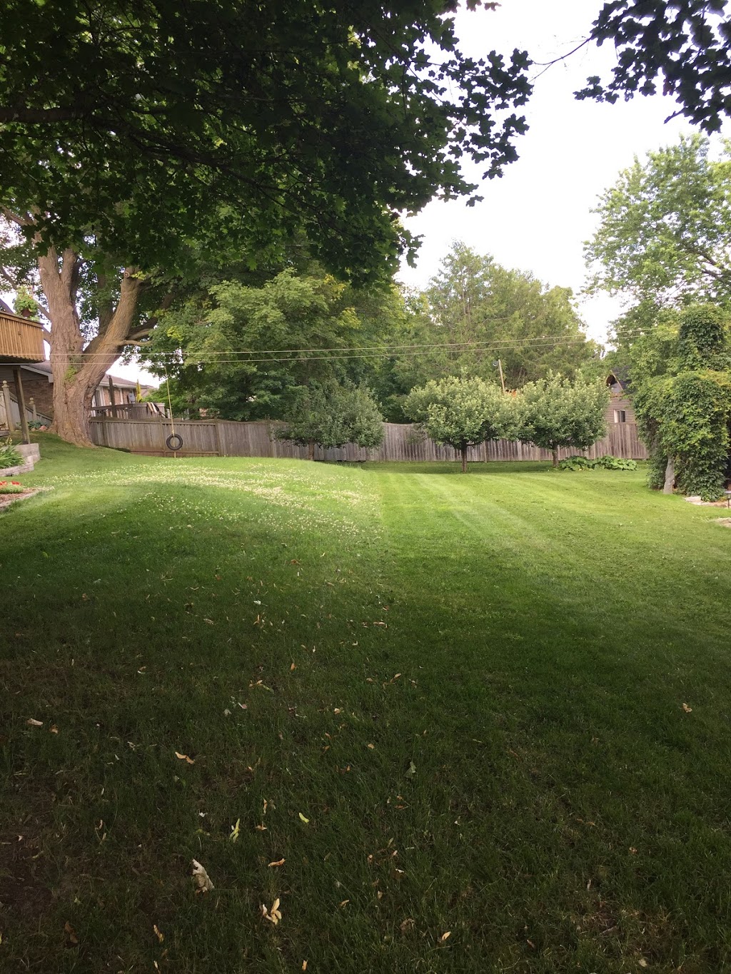 Wolf Lawn Care | 1673 Gazelle Trail, Lakefield, ON K0L 2H0, Canada | Phone: (705) 931-0214