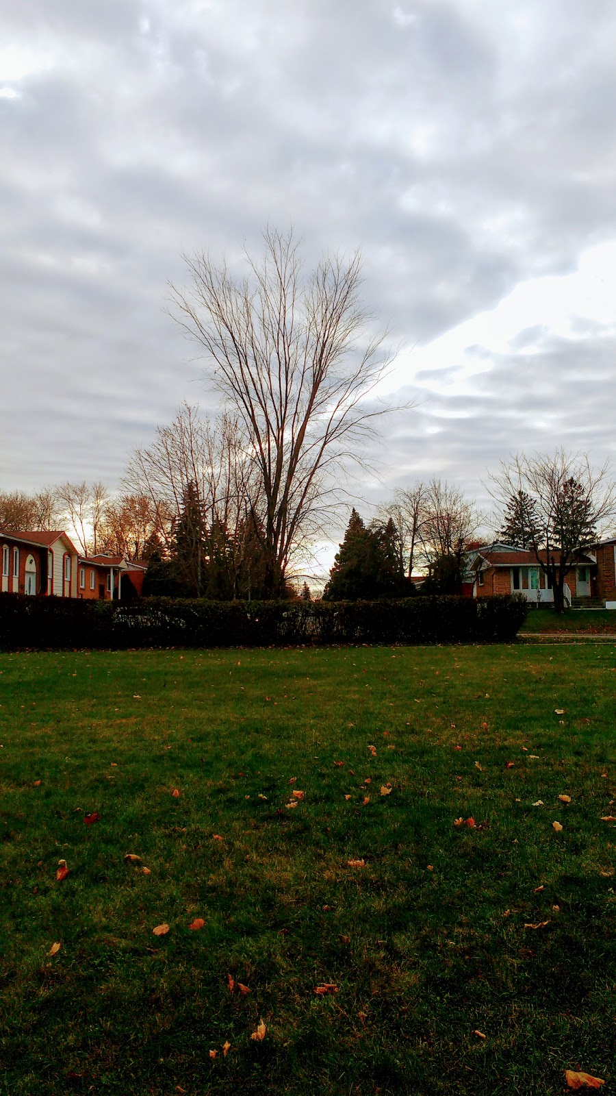 Sunnybrooke Park | 7 Rue Cadman, Dollard-des-Ormeaux, QC H9B 1X5, Canada | Phone: (514) 684-1012
