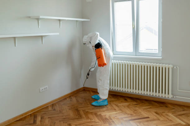 CEBRQ - Décontamination Mirabel | 9245 Rue Alexandre-Tassé, Mirabel, QC J7N 0G1, Canada | Phone: (450) 951-9190