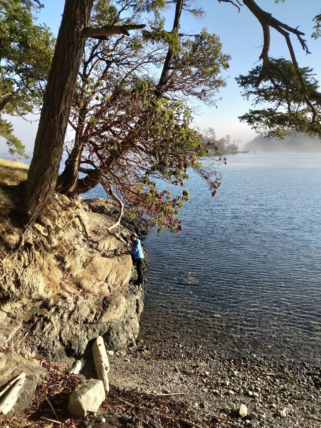 Turn Island State Park | 20 Cormorant Ln, Friday Harbor, WA 98250, USA | Phone: (360) 378-2044