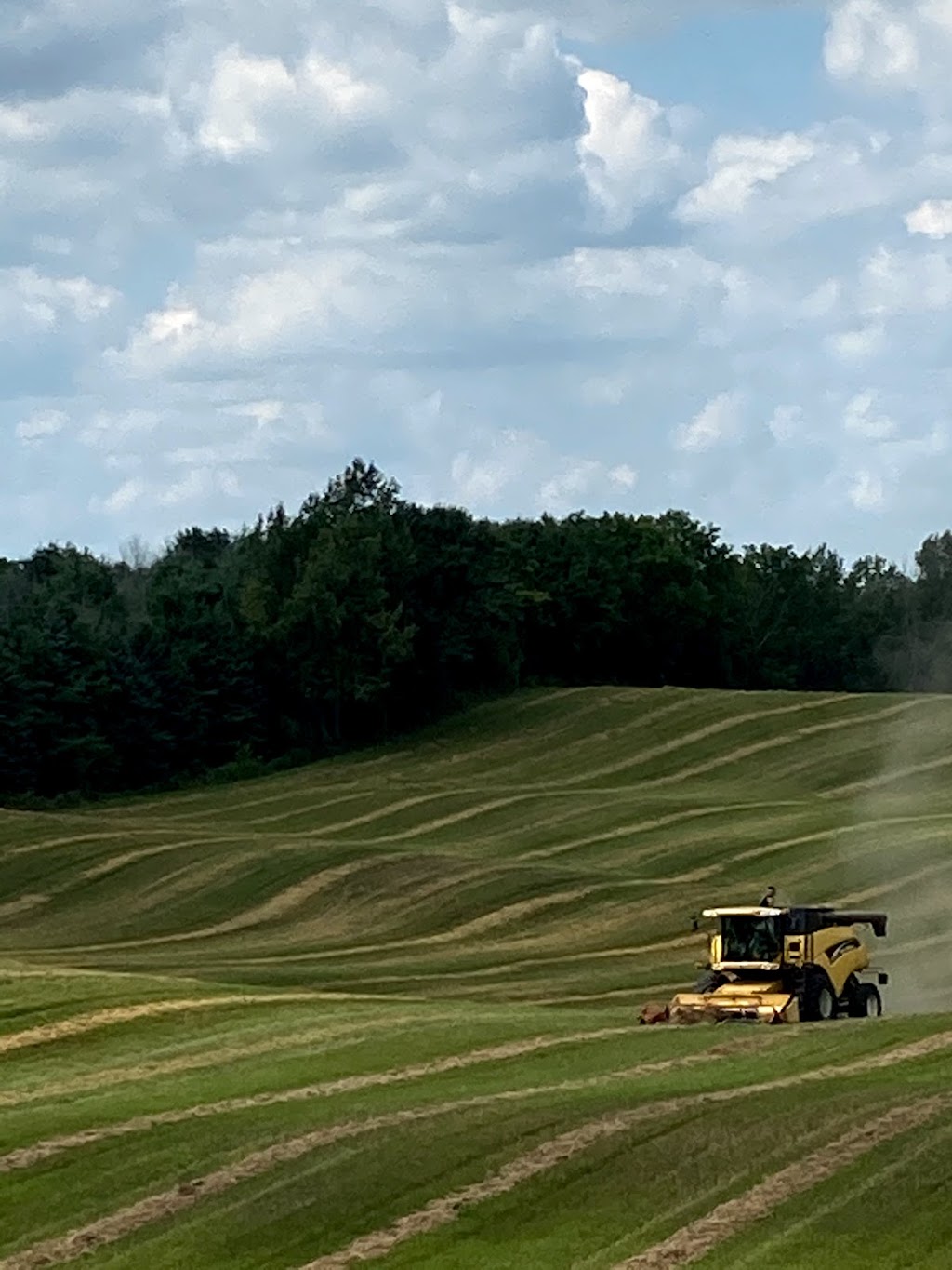 Brouwer Organic Farms | 2005 Concession Rd 6 W, Branchton, ON N0B 1L0, Canada | Phone: (519) 716-2378