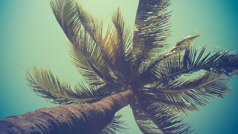 Island Living Cleaning | Winnipeg, MB R2C 2B1, Canada | Phone: (204) 955-0775