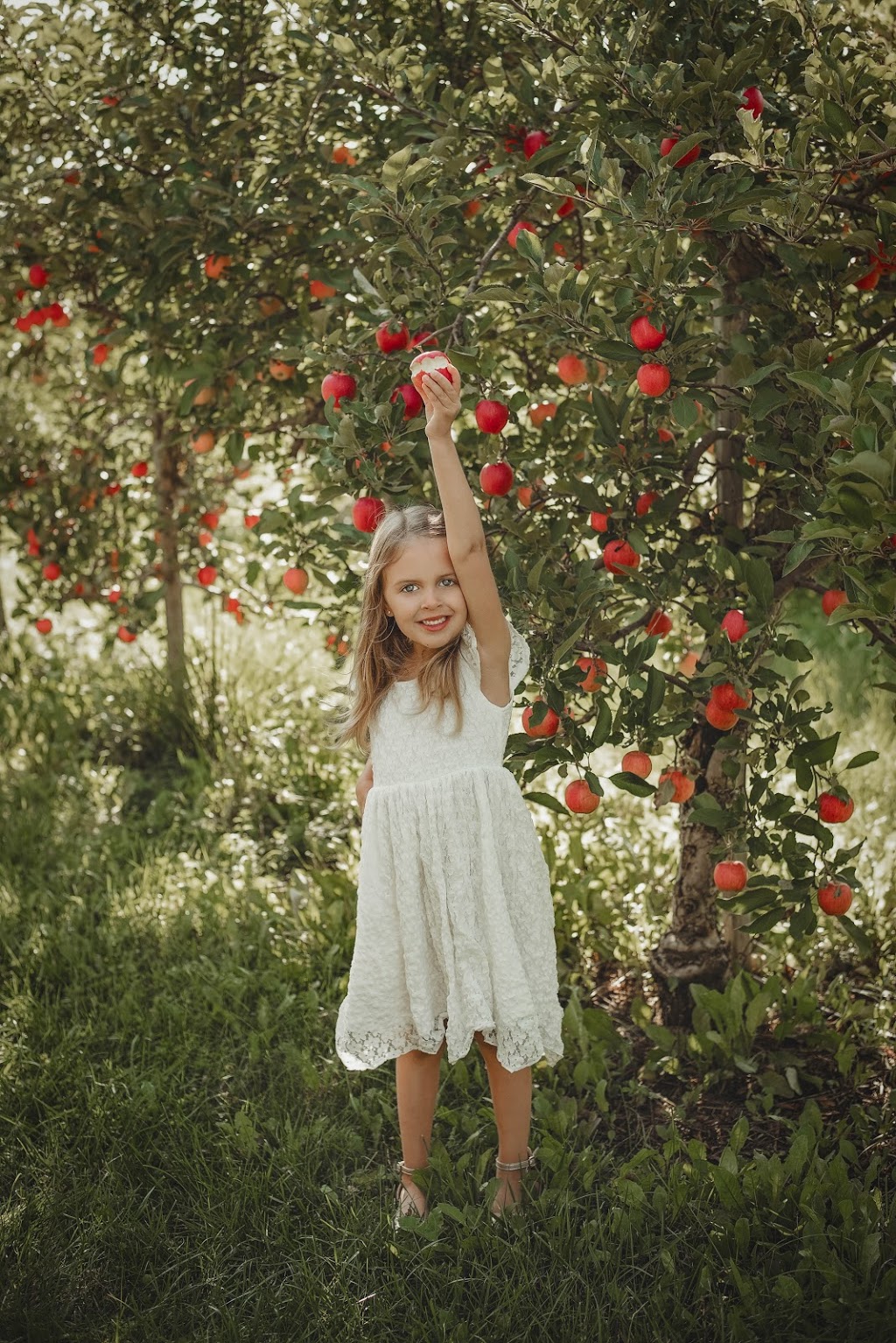 Kristin Erin Leigh Photography | 634238 Artemesia Glenelg Tline, Markdale, ON N0C 1H0, Canada | Phone: (519) 373-2729
