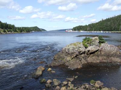 The Hidden Gem | Holyrood, NL A0A 2R0, Canada | Phone: (709) 765-0260