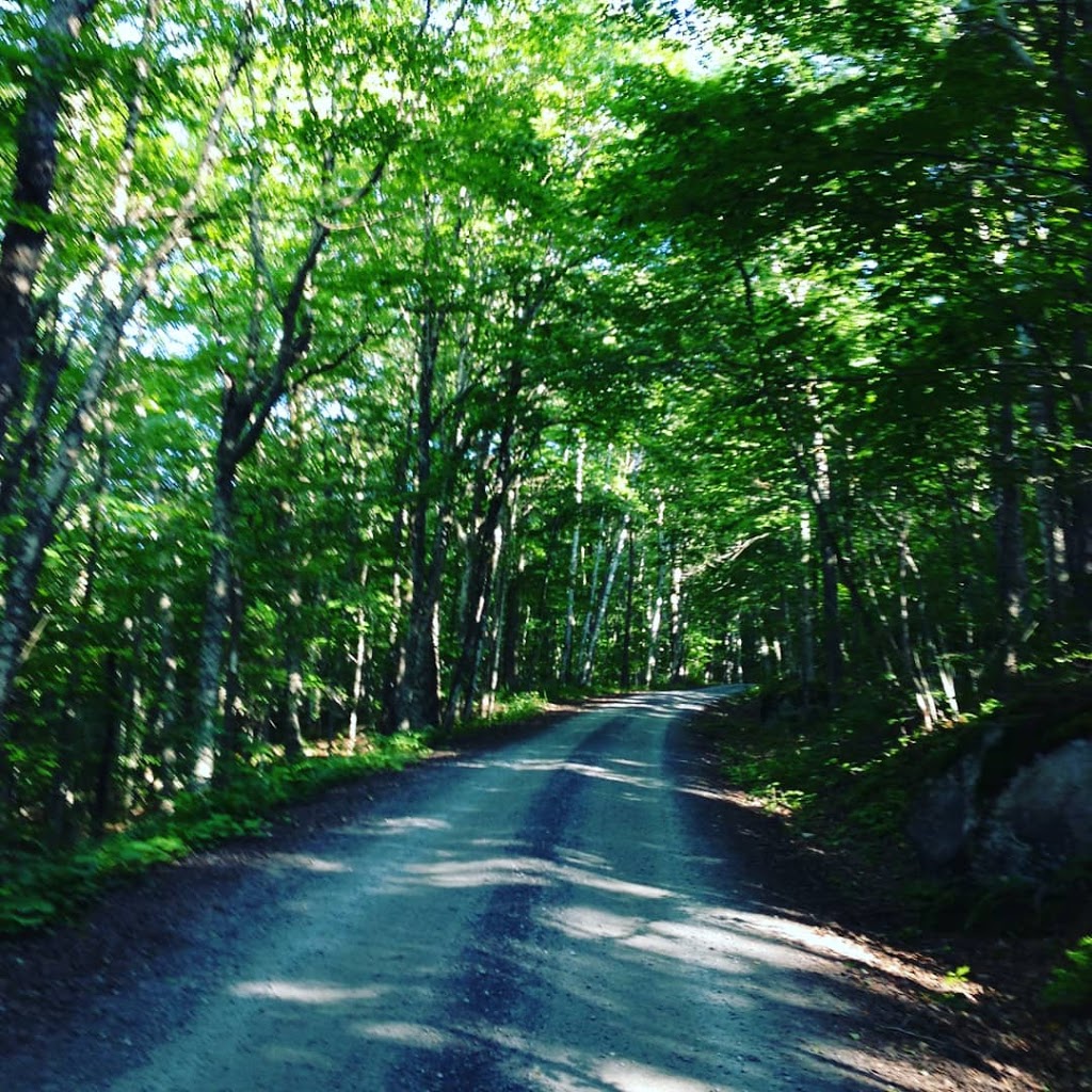 Mount Pisgah Trail | Brownington, VT 05860, USA