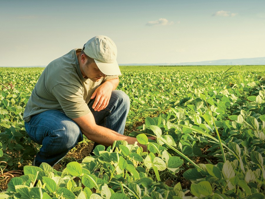 Truro Agromart Limited | 547 Onslow Rd, Upper Onslow, NS B6L 5L3, Canada | Phone: (902) 895-2857