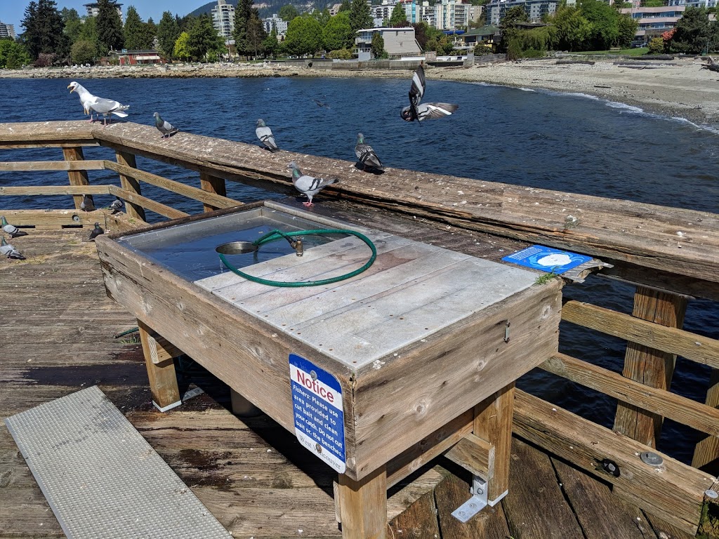 Millennium Park | West Vancouver, BC V7V 1A1, Canada | Phone: (604) 925-7275