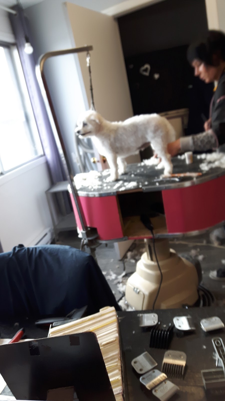 Aux Bons Soins | 405 Bd Adolphe-Chapleau, Bois-des-Filion, QC J6Z 1K8, Canada | Phone: (450) 621-0938