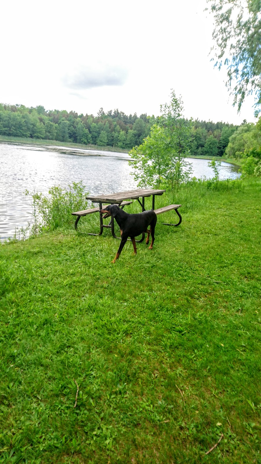 Robert Edmondson Conservation Area | 10027 1 Line, Milton, ON L0P, Canada | Phone: (905) 854-2276