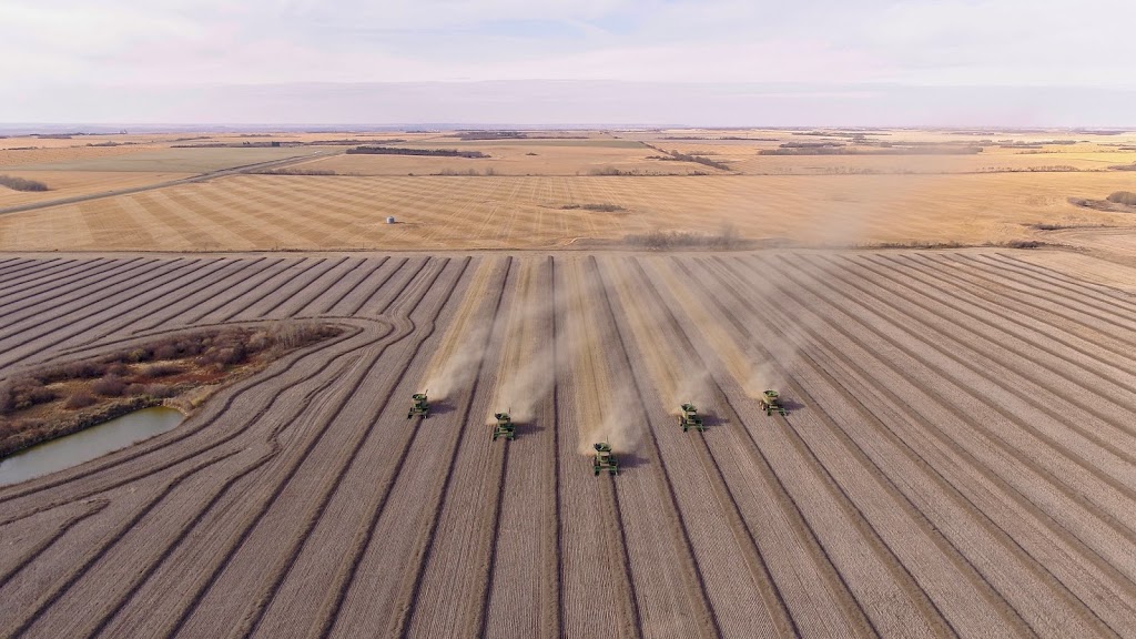 Hagen Farms Ltd. | Unnamed Road, Denholm, SK S0M 0R0, Canada | Phone: (306) 441-6750