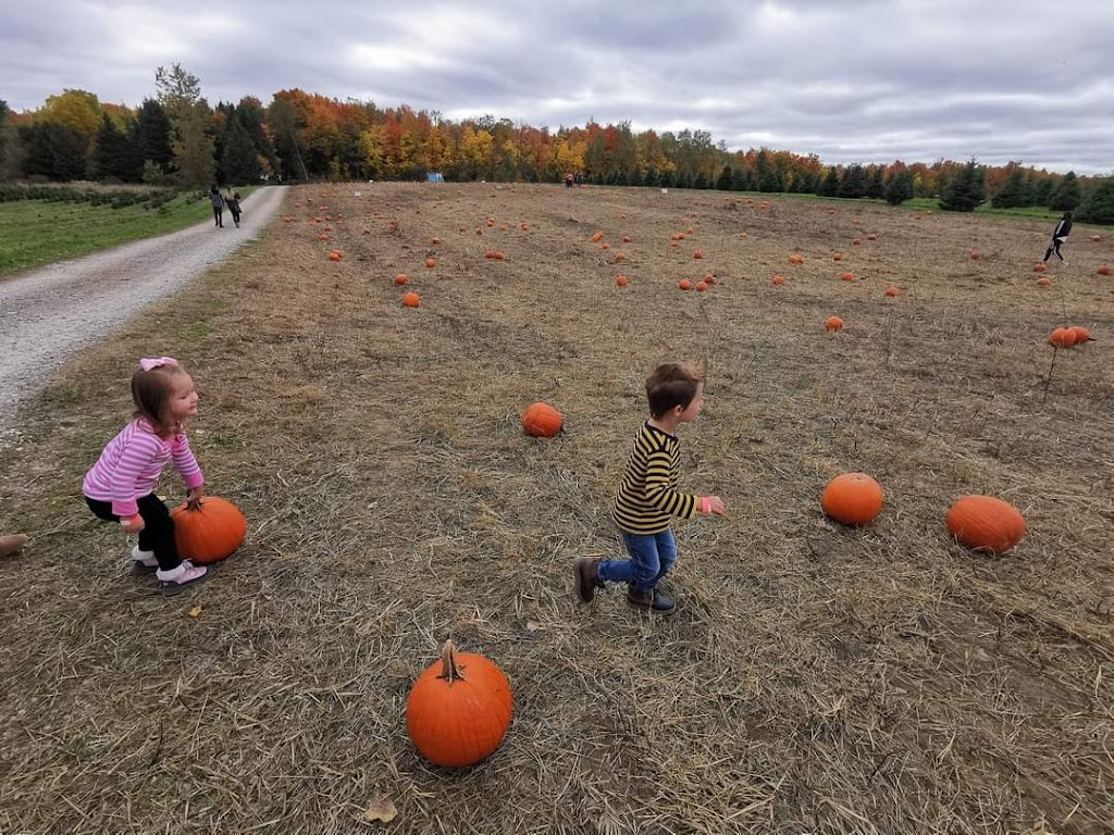 Tree Lane Farms | 13073 Twelve Mile Rd, Ilderton, ON N0M 2A0, Canada | Phone: (519) 666-0154