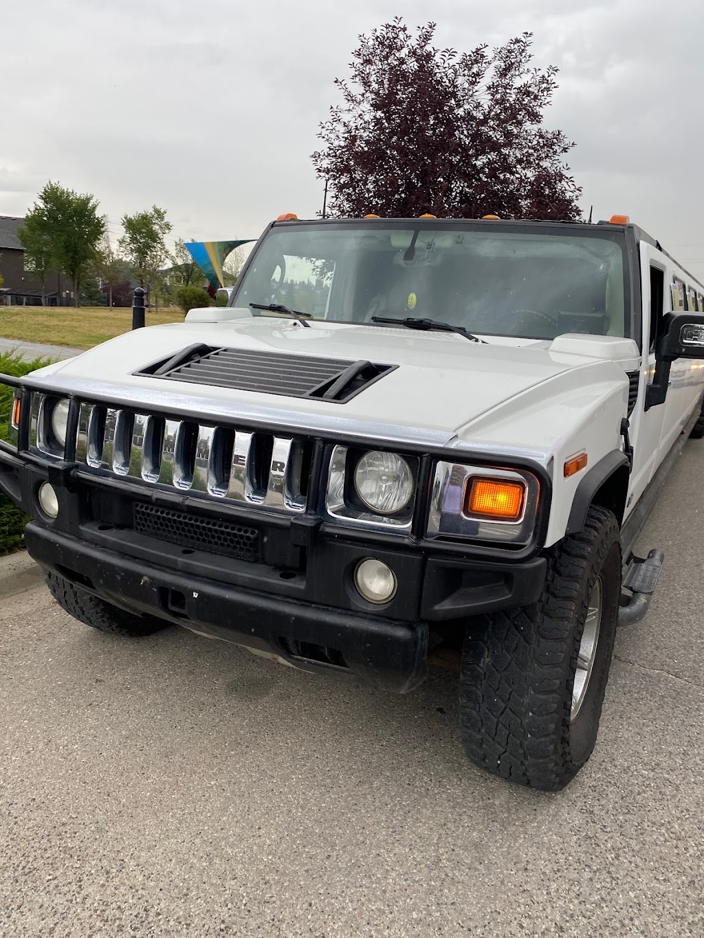 Happy Limo - Limo Service | Limo | Happy Limousine | 155 Kinniburgh Blvd, Calgary, AB T1X 1Y2, Canada | Phone: (587) 834-5000