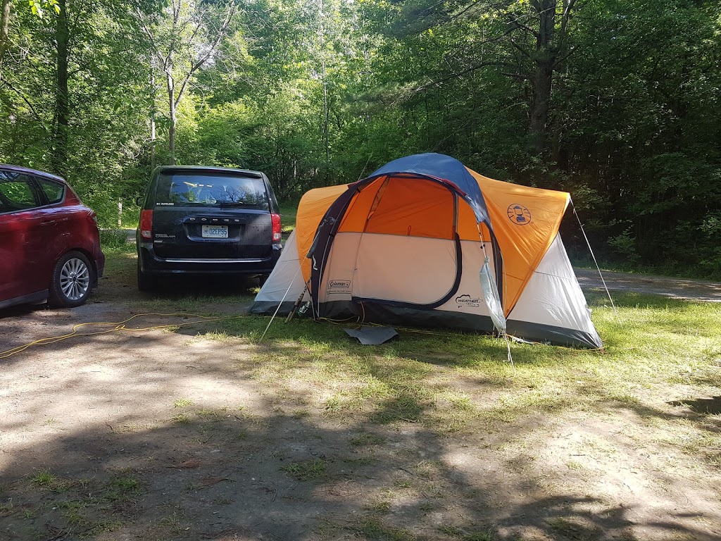 Fitzroy Provincial Park - Pine Grove Campground | 5201 Canon Smith Dr, Fitzroy Harbour, ON K0A 1X0, Canada | Phone: (613) 623-5159