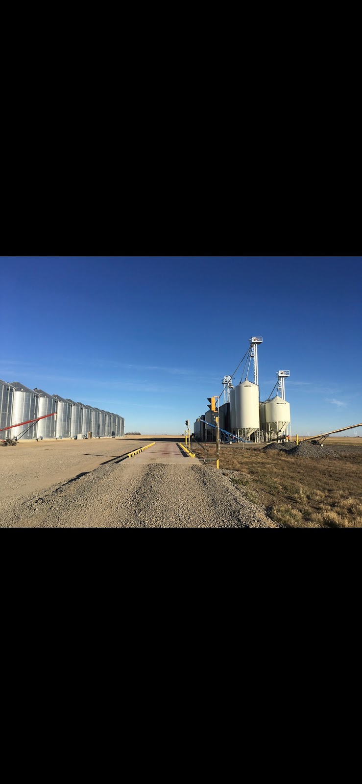 Crone Farms Inc | Box 698, Moose Jaw, SK S6H 4P4, Canada | Phone: (306) 690-7729