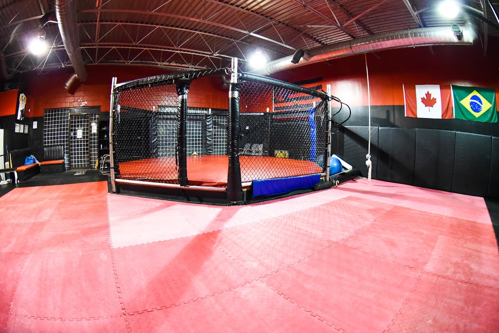 Tilt MMA | 2650 36 St SE #11, Calgary, AB T2B 0Y3, Canada | Phone: (403) 903-0002