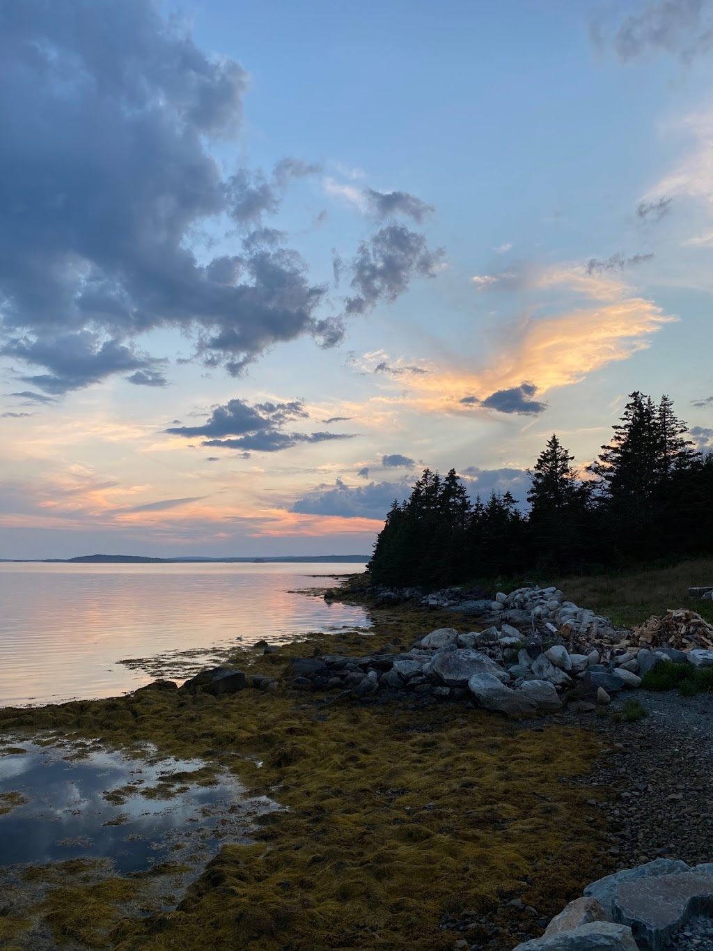 Sober Island Boat Tours | 73 Levys Rd, Sheet Harbour, NS B0J 3B0, Canada | Phone: (902) 817-5389