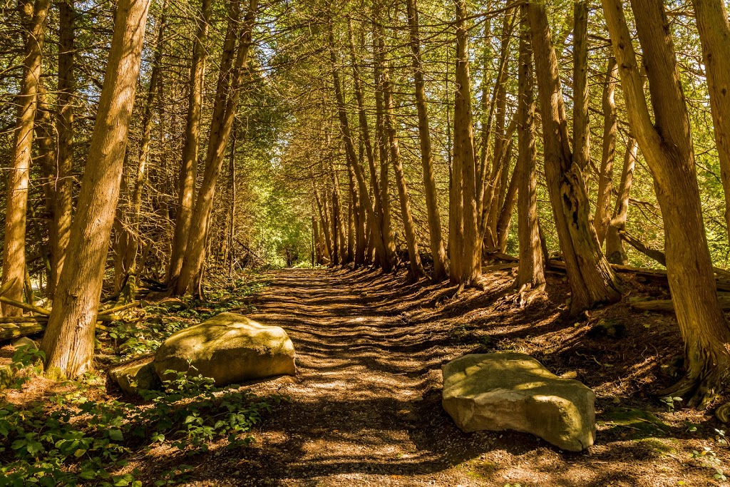 Selwyn Beach Conservation Area | 2251 Birch Island Rd, Lakefield, ON K0L 2H0, Canada | Phone: (705) 745-5791