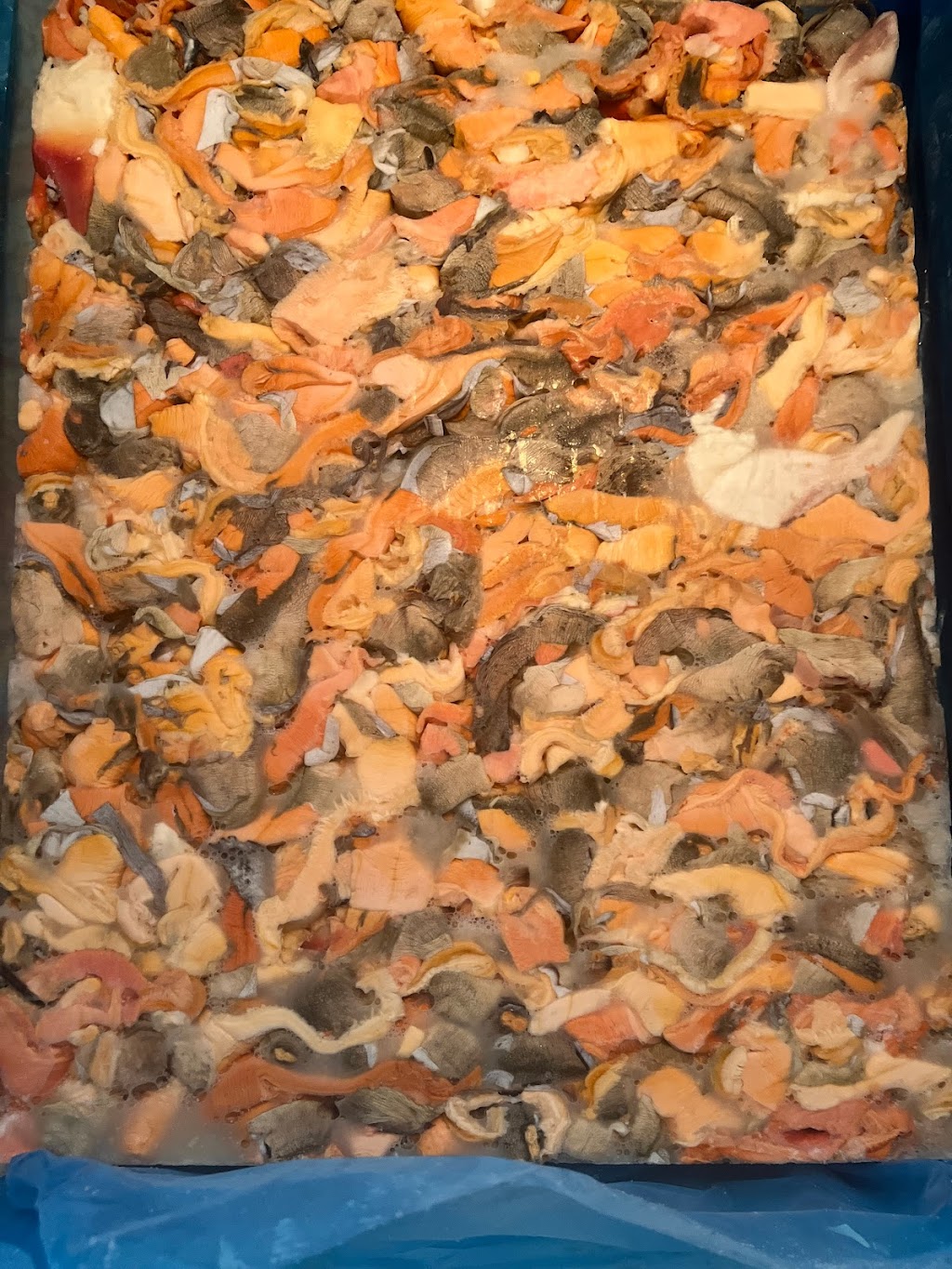 Propeller Bait PEI | 1118 Souris Line Rd, Souris, PE C0A 2B0, Canada | Phone: (902) 940-7806