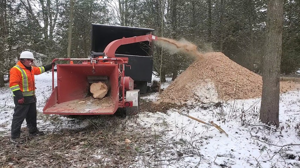 Spruce Green Tree Service | 5554 ON-23, Harriston, ON N0G 1Z0, Canada | Phone: (519) 638-0121