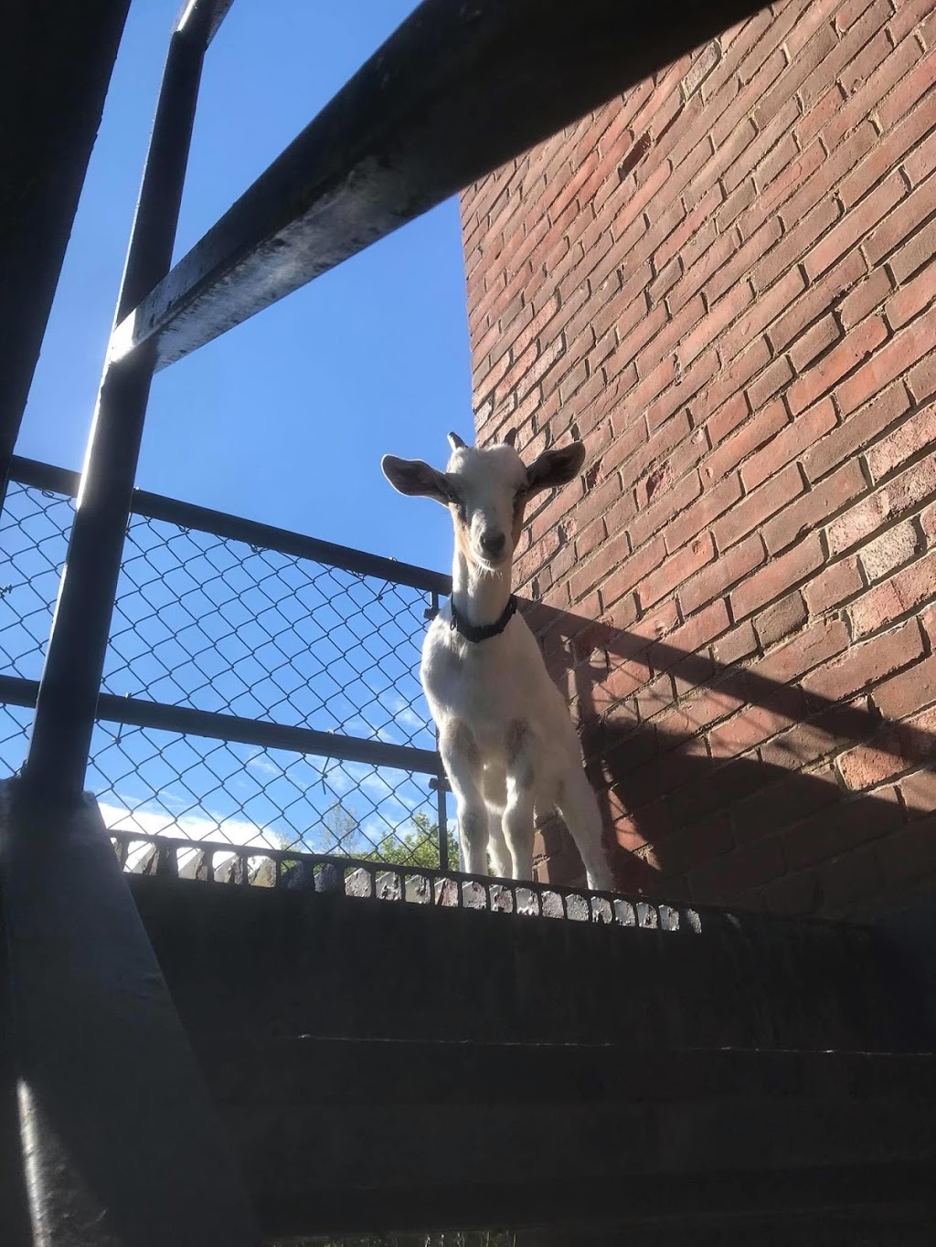 The Dorchester Jail BnB | 4980 Main St, Dorchester, NB E4K 2Z1, Canada | Phone: (506) 213-0112