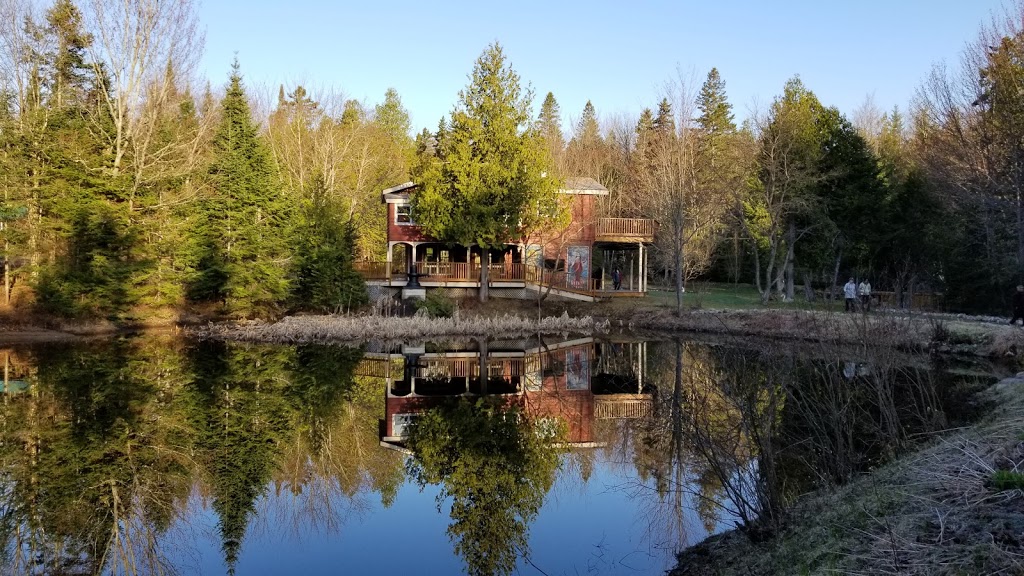 Sivananda Ashram Yoga Camp | 673 8e Av, Val-Morin, QC J0T 2R0, Canada | Phone: (819) 322-3226