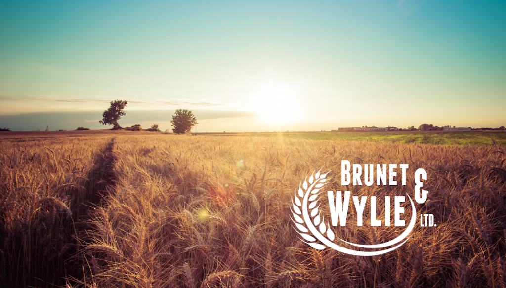 Brunet & Wylie Ltd. | 4970 Mill St, St-Eugène, ON K0B 1P0, Canada | Phone: (613) 674-2166