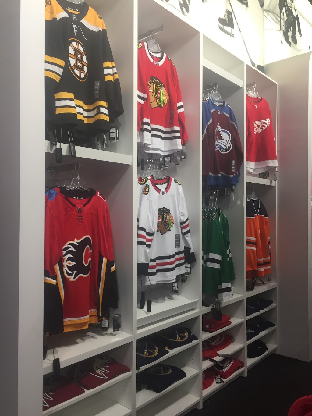 Pro Hockey Life Winnipeg | 860 St James St Unit 2, Winnipeg, MB R3G 3J7, Canada | Phone: (204) 788-1761