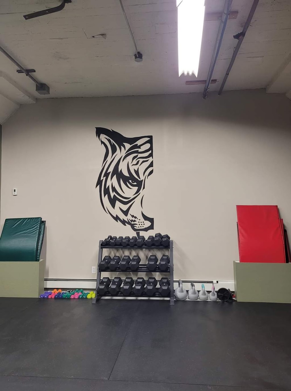 TWIN TIGER BOXING ACADEMY | North, Collingwood, 864 Hurontario St Unit 4, Collingwood, ON L9Y 0G7, Canada | Phone: (705) 888-9755