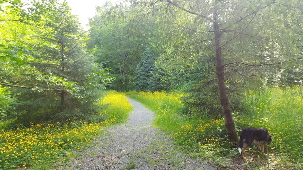 Maclure Park | Discovery Trail, Abbotsford, BC V2T, Canada