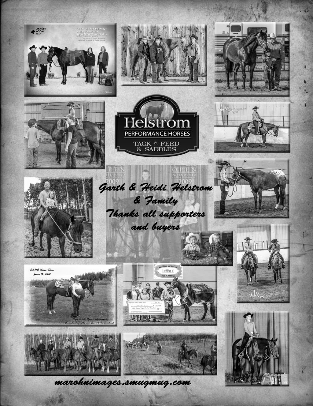 Helstrom Performance Horses | 960 Komarno Rd, Winnipeg Beach, MB R0C 3G0, Canada | Phone: (204) 389-3401