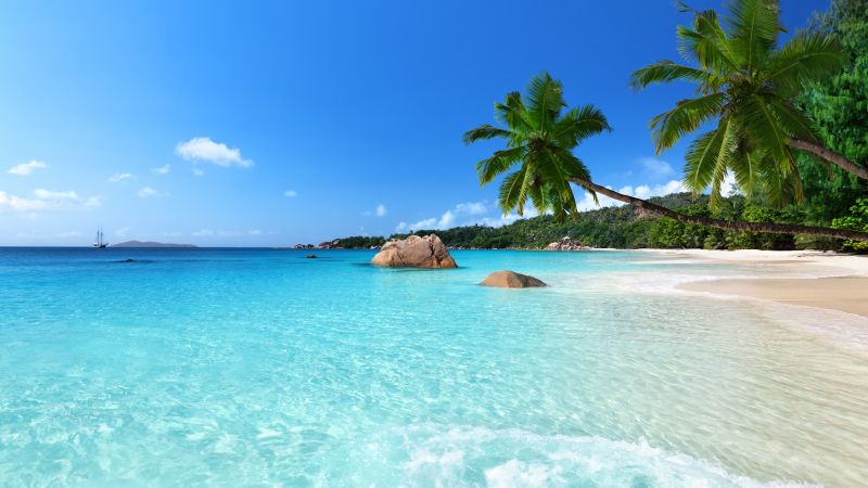 Adiona Travel - Sarah Robinson | Innisfil Beach Rd, Innisfil, ON L9S 0G8, Canada | Phone: (705) 279-2454