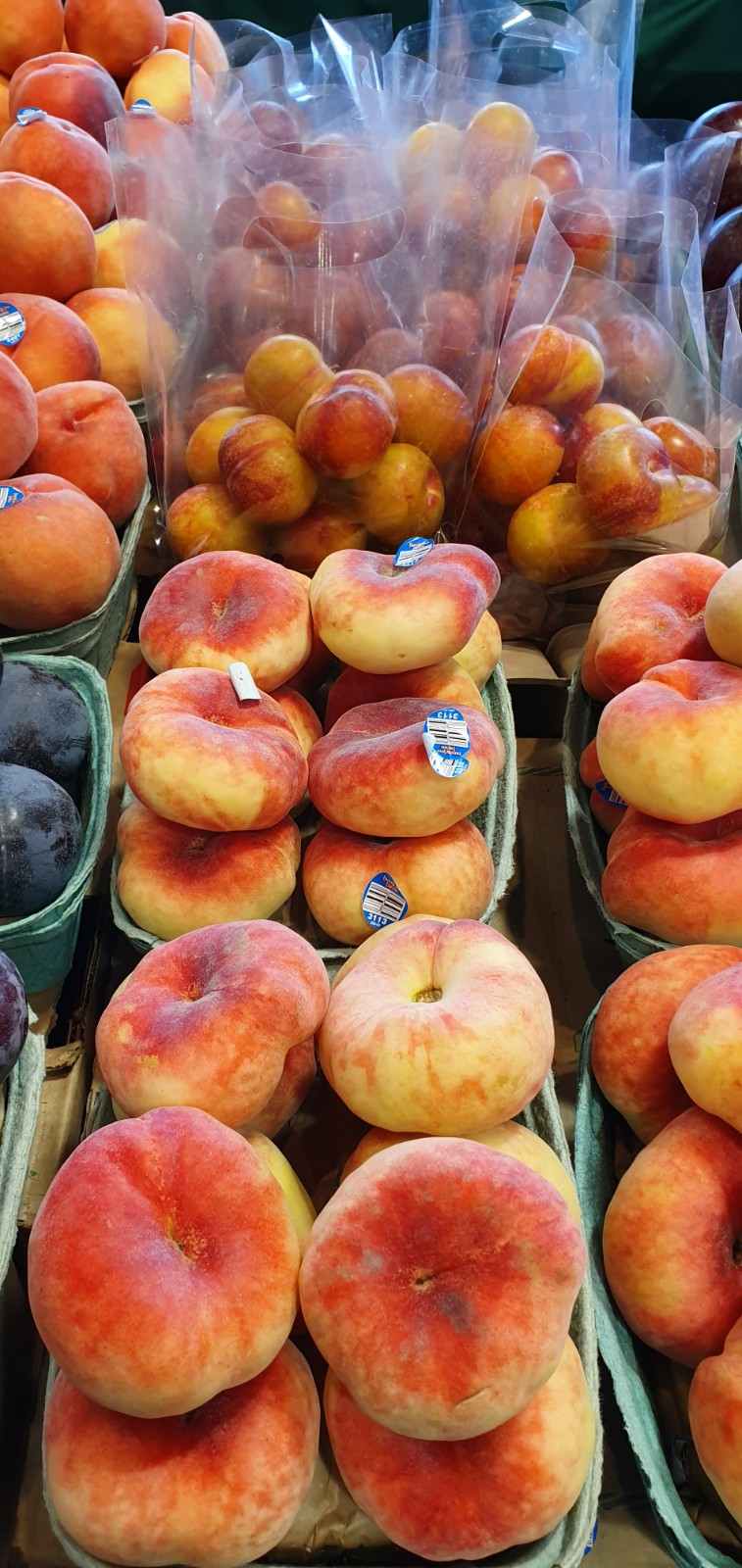 Kins Farm Market | Blundell Centre, 8180 No 2 Rd Unit 176, Richmond, BC V7C 3M3, Canada | Phone: (604) 275-1401