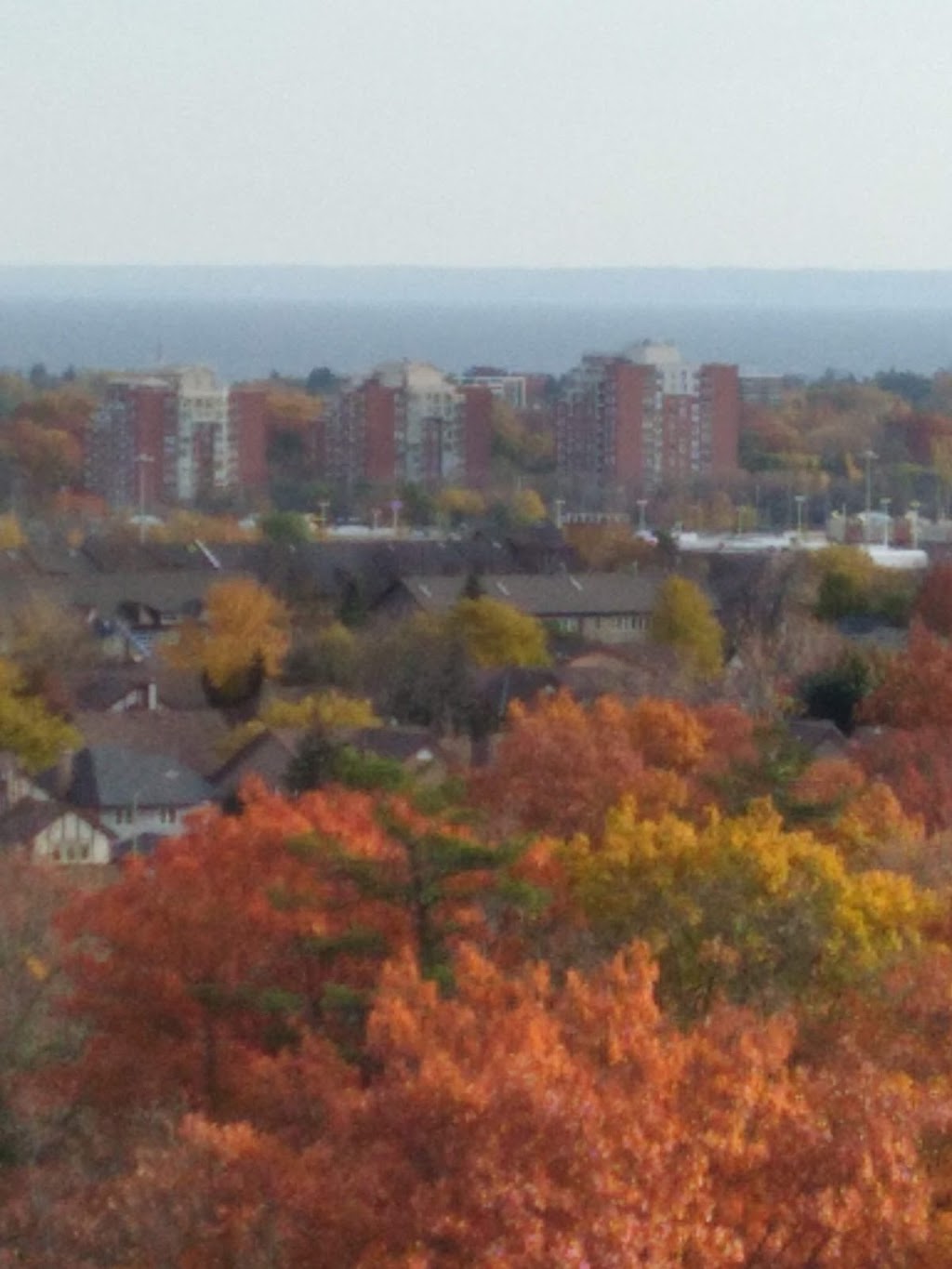 Wallace Pines II | 1260 Marlborough Crt, Oakville, ON L6H 3H5, Canada | Phone: (905) 845-7545