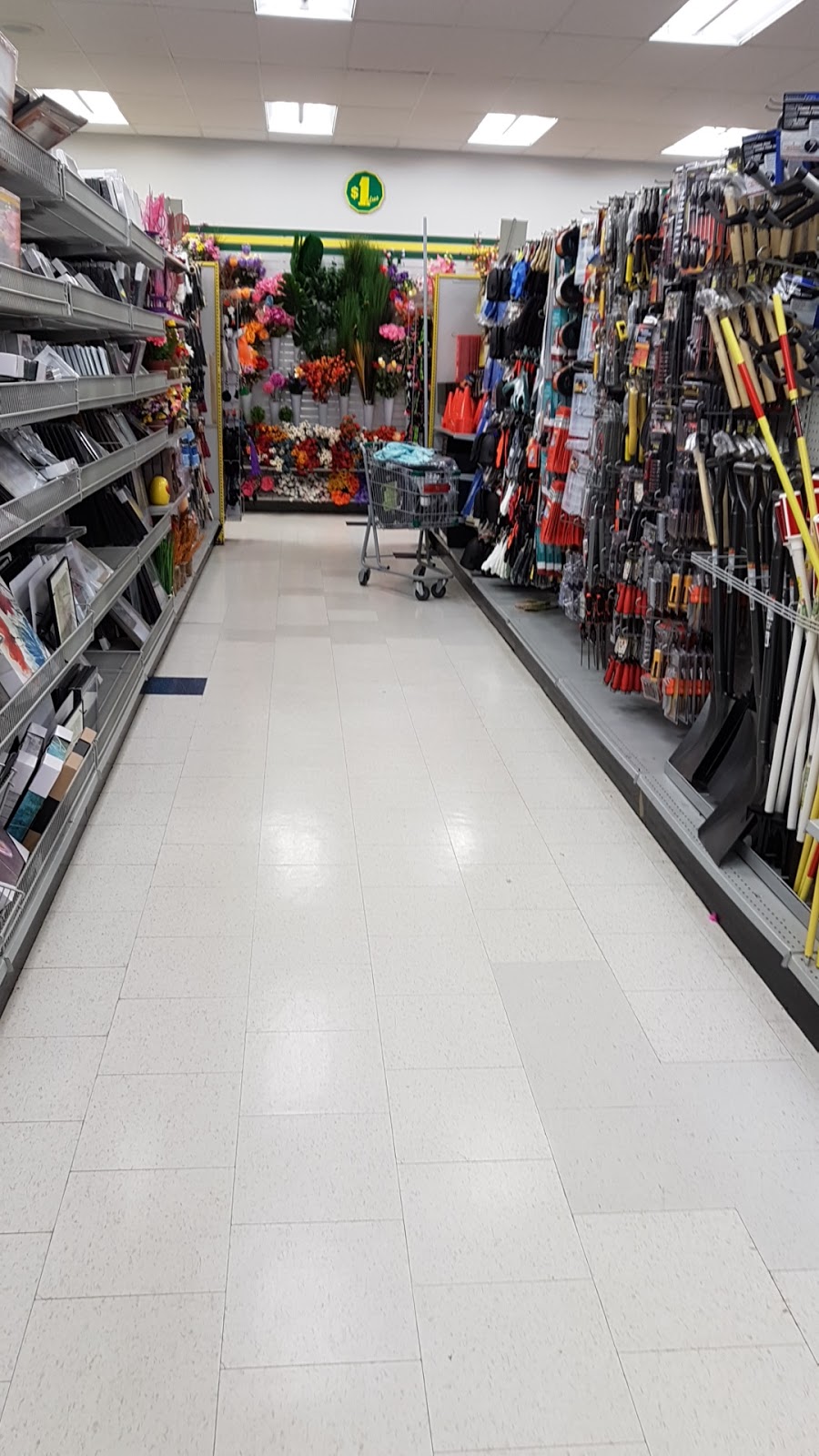 Dollarama | University Plaza, 101 Osler Dr, Dundas, ON L9H 4H4, Canada | Phone: (905) 628-5683