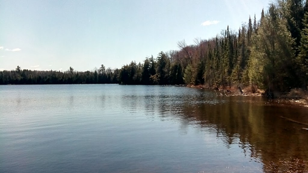Imagine Wood | 37946-C Highway 62 North, Combermere, ON K0J 1L0, Canada | Phone: (613) 756-9759