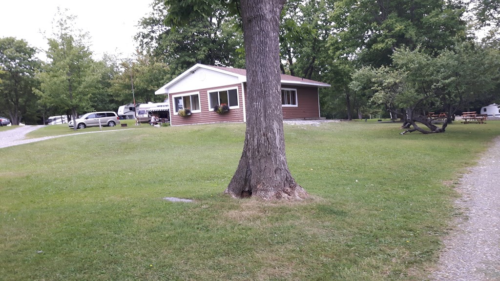 Camping Mont Scotch Hill | 152 ch Scotch Hill, Danville, QC J0A 1A0, Canada | Phone: (819) 839-1572