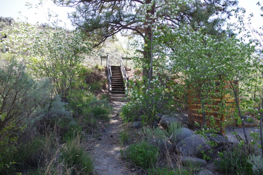 Fraser Cove Campground Ltd | 1234 Davis Rd, Lillooet, BC V0K 1V0, Canada | Phone: (250) 256-8757
