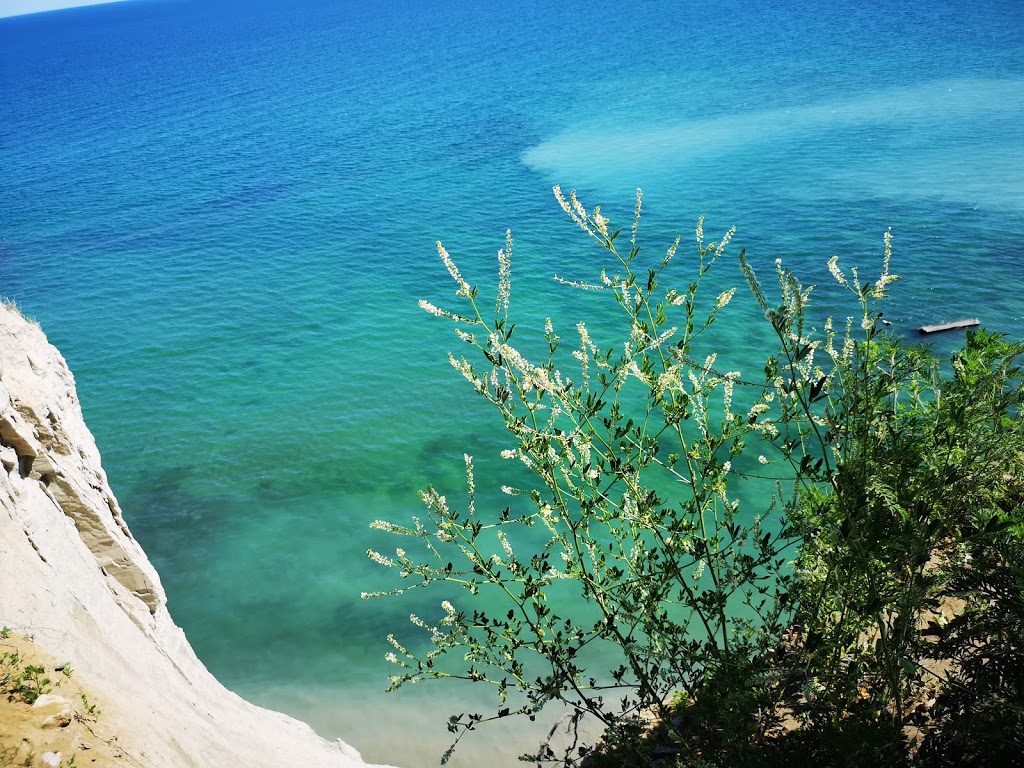 Bluffs Lookout | Cliffside, Toronto, ON M1M 1A4, Canada