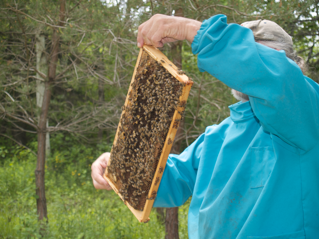 Hazel Grove Farm | 32 Purdy Rd #30, Deep Brook, NS B0S 1J0, Canada | Phone: (902) 482-0543