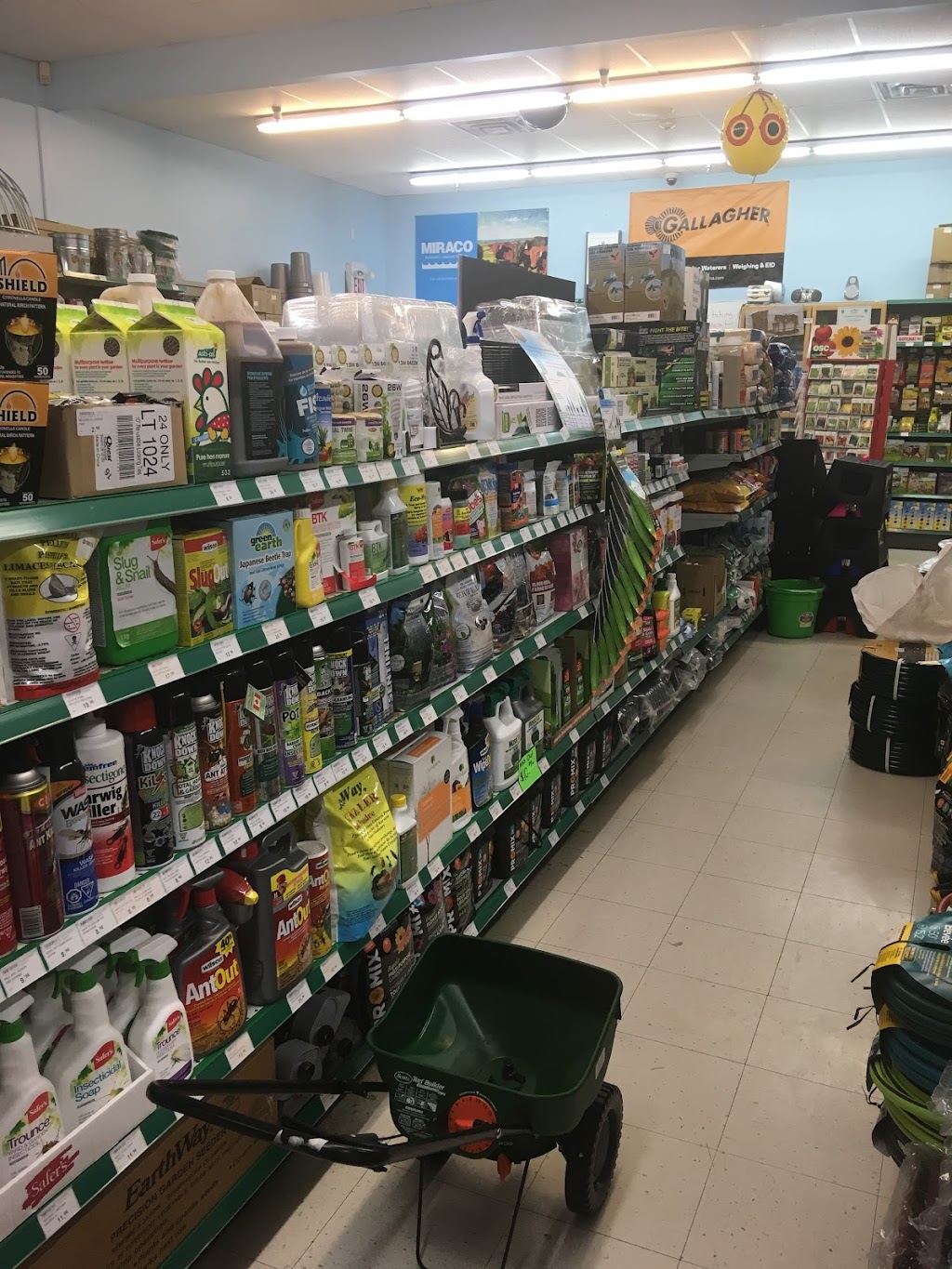 Annavale Country Store | 14 Veterans Ln, Middleton, NS B0S 1P0, Canada | Phone: (902) 825-6400