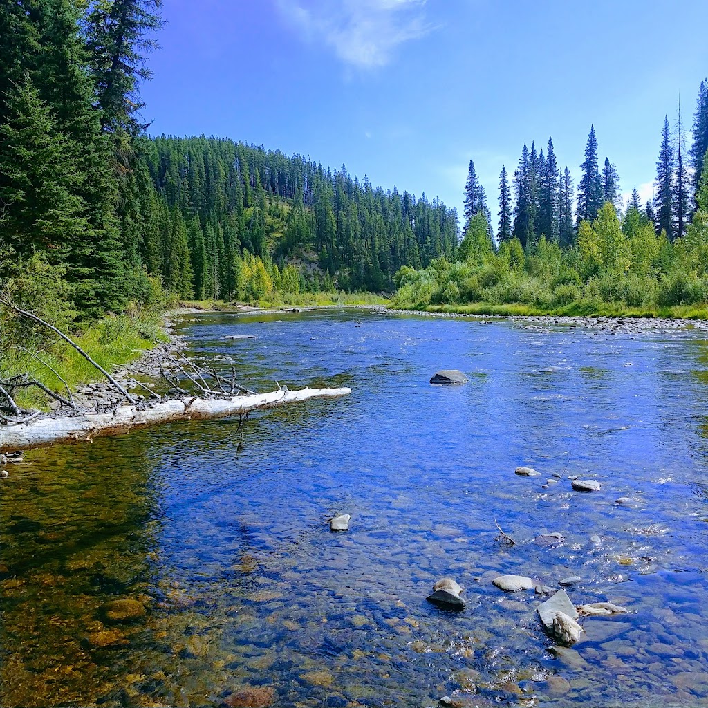 Pembina Forks Campground | 46006 Forestry Trunk Rd, Yellowhead County, AB T0E 1X0, Canada | Phone: (780) 865-2154