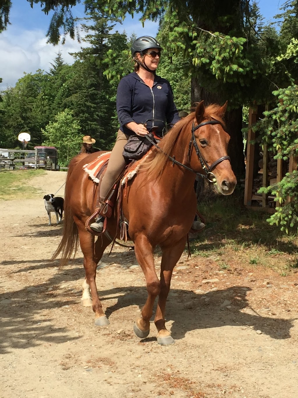 Gulf Islands Horse Association | 113 Village Terrace, Salt Spring Island, BC V8K 2V2, Canada | Phone: (250) 537-2018