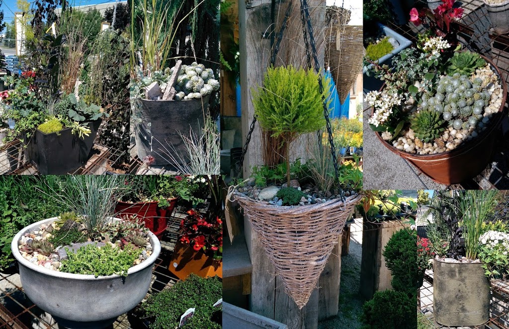 Beech Nursery | 4 Carlaw Ave, Toronto, ON M4M 2R5, Canada | Phone: (416) 461-6555