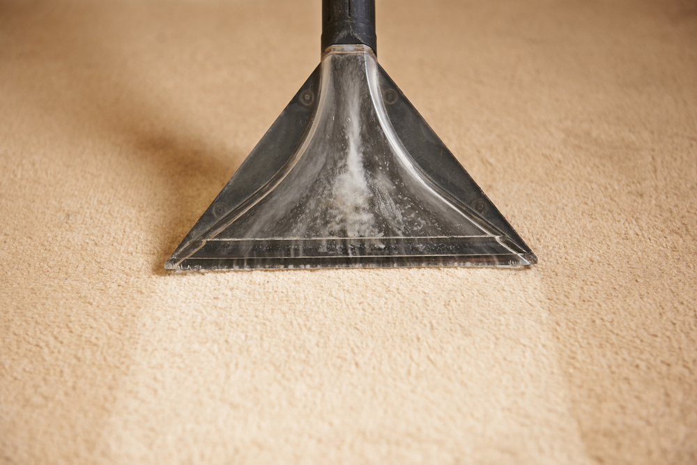 Mayfair Building Services Ltd. | 8980 Fraserwood Ct, Burnaby, BC V5J 5H7, Canada | Phone: (604) 439-0312