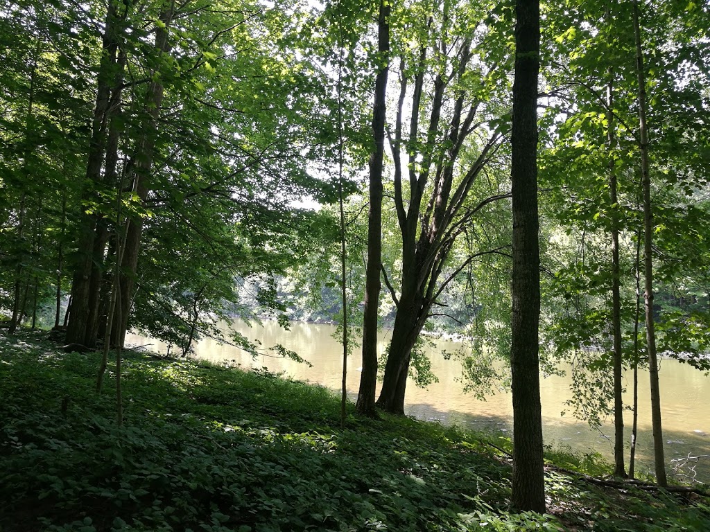 Kains woods environmental area | Unnamed Road, London, ON N6K 0A4, Canada