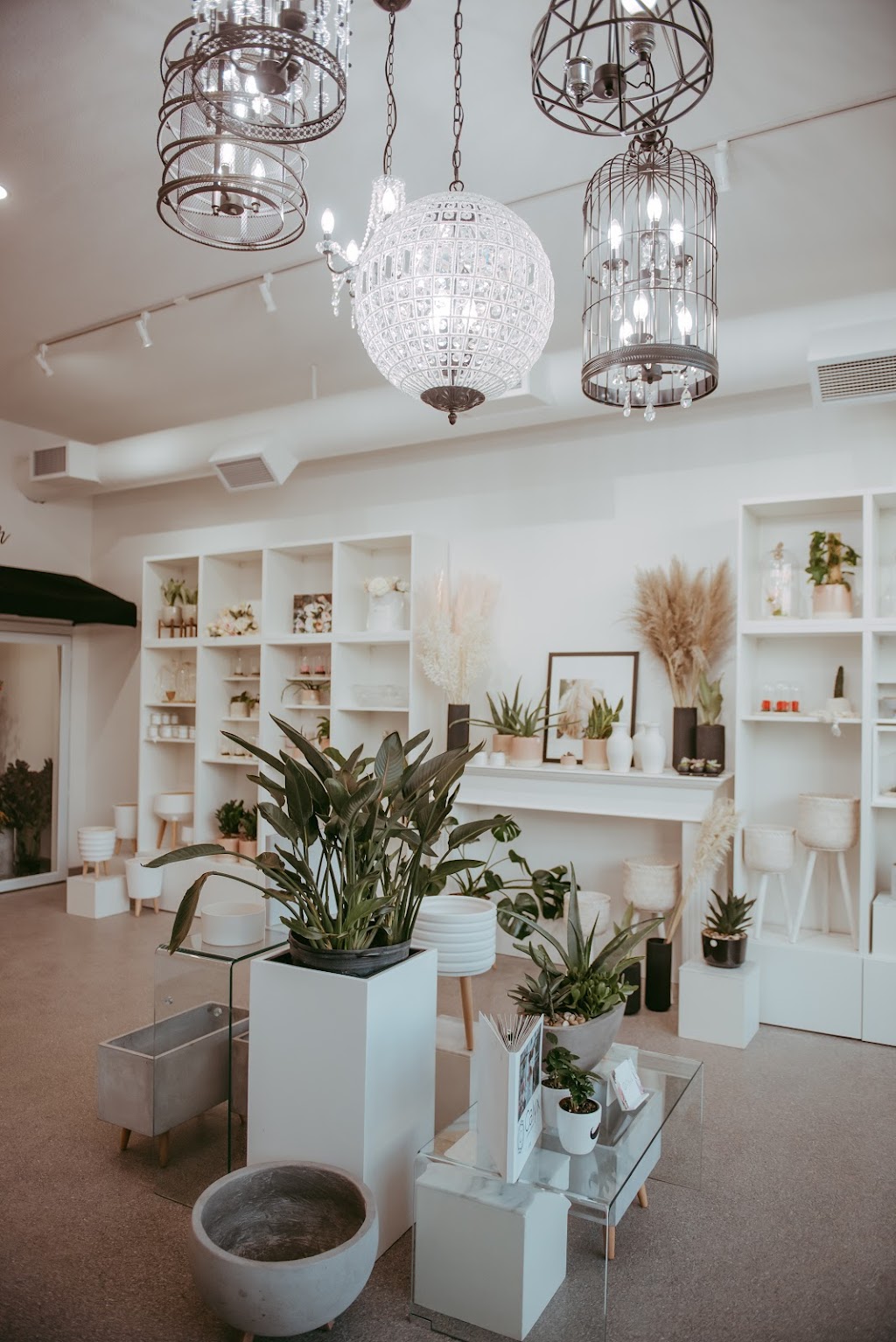 Calyx Floral Design | 7105 20 Sharpe Ave, Red Deer, AB T4R 0V2, Canada | Phone: (403) 352-4055