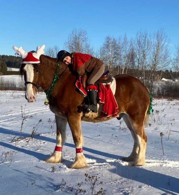 Animation Poney En Fête | #0, Saint-Jérôme, QC J5L 2K7, Canada | Phone: (450) 602-1283